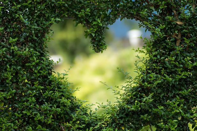 Eco-sostenibile: Semplici azioni per un impatto positivo sull'ambiente